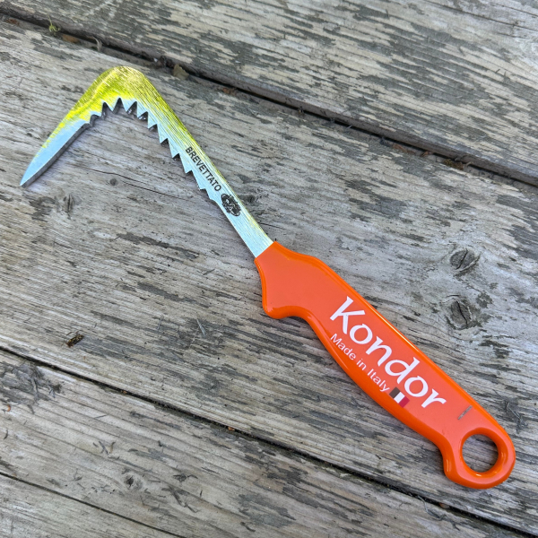 Kondor orange Vanghetta